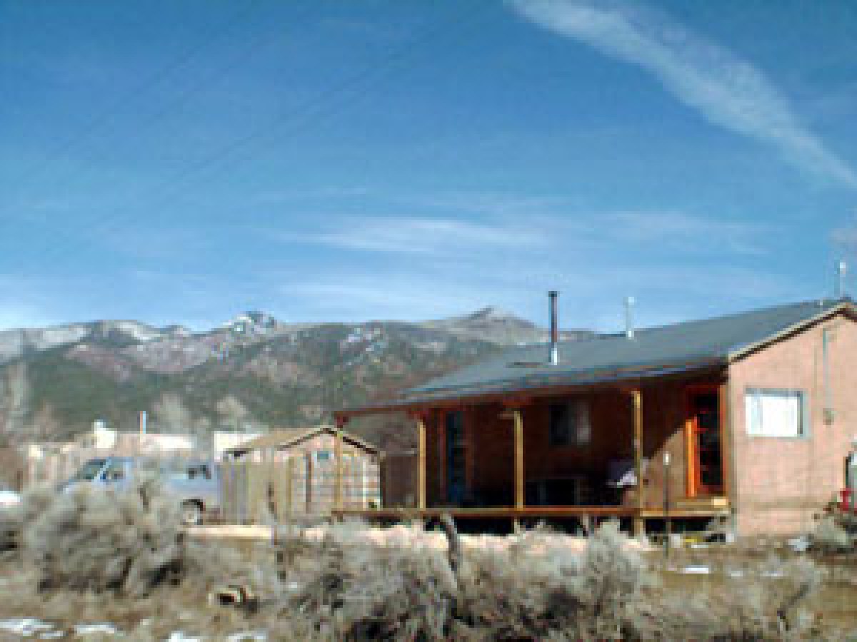 a group of sheep in front of a house